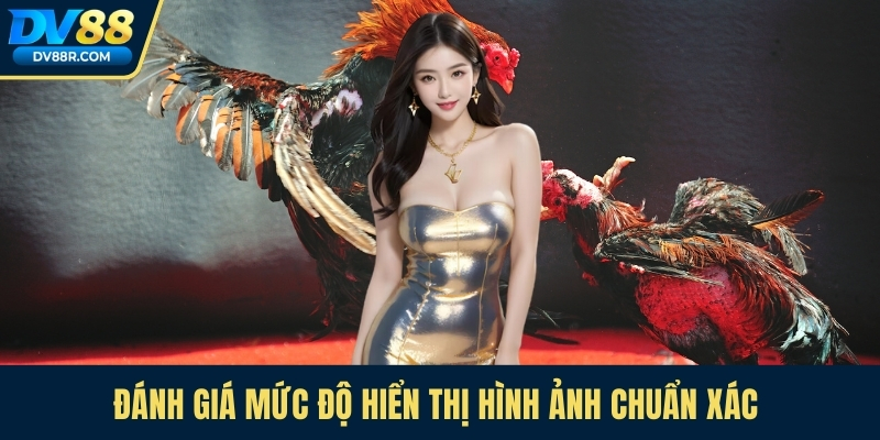 Đánh giá mức độ hiển thị hình ảnh chuẩn xác 