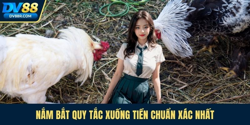 Nắm bắt quy tắc xuống tiền chuẩn xác nhất