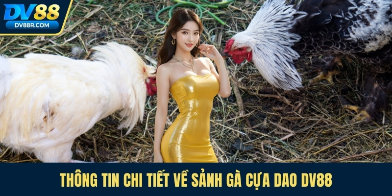 Thông tin chi tiết về sảnh gà cựa dao Dv88